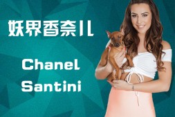 24妖界的香奈儿-Chanel Santini